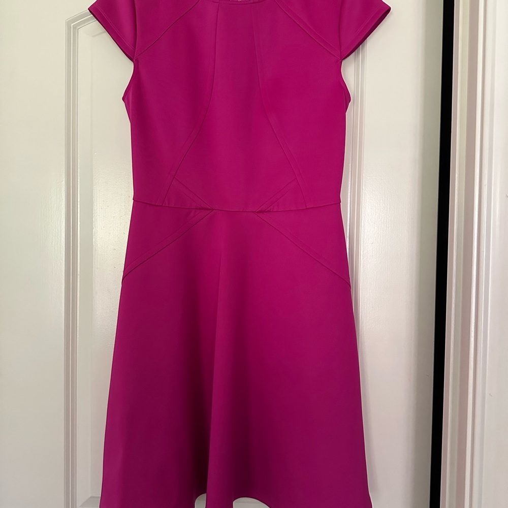 Vibrant Ted Baker Skater Dress
